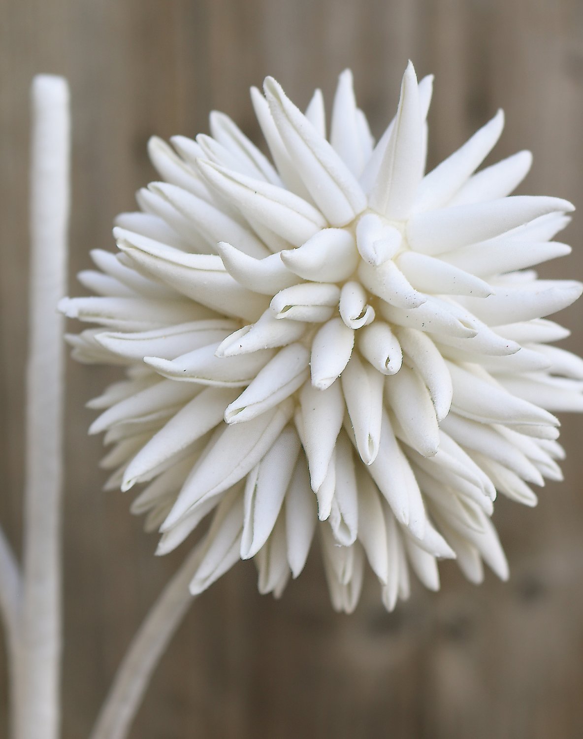 Artificial soft flower 'allium', 95 cm, pure white