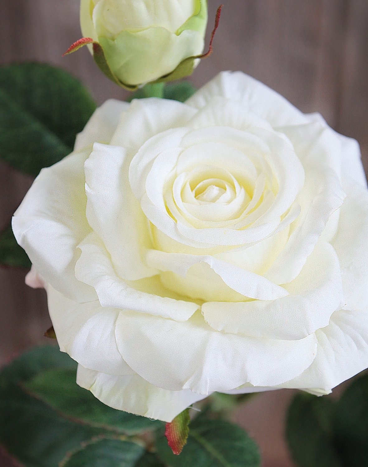 Silk rose, 1 flower, 1 bud, 37 cm, real touch soft, beige-white