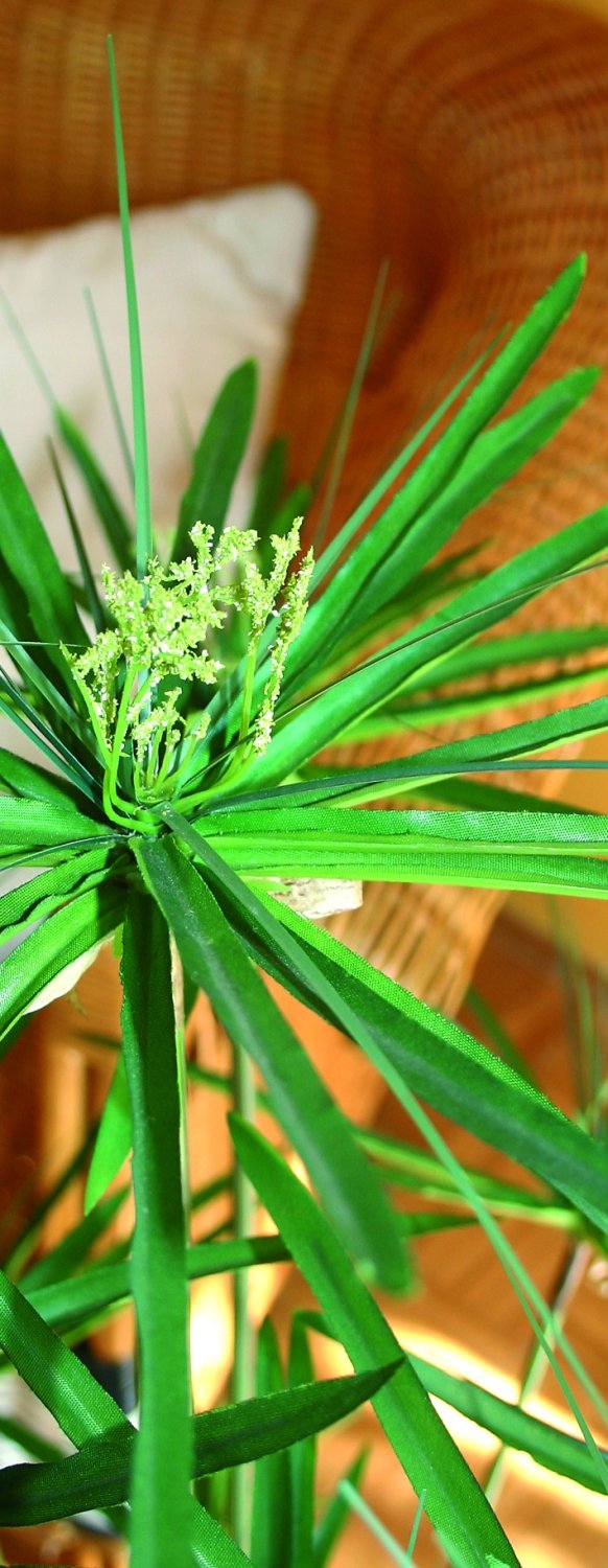 Artificial nutsedges, potted, 105 cm, green