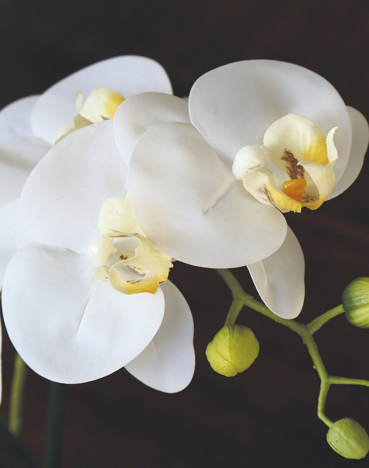 Plastic orchid Phalaenopsis in bowl, 29 cm, real touch soft, beige-white