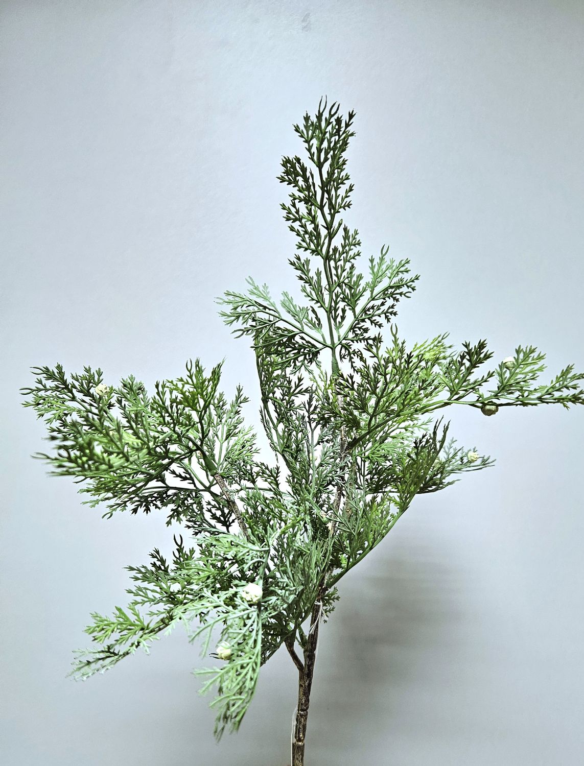 Branche artificielle en thuya, 36 cm, vert-gris