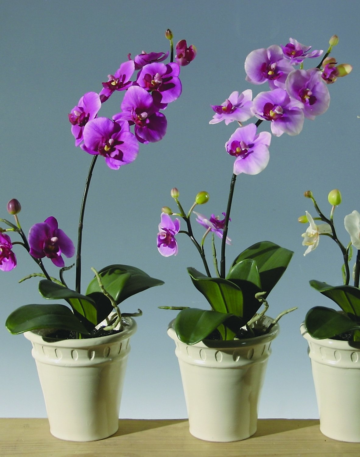 Künstliche Orchidee Phalaenopsis, getopft, 60 cm, Real Touch, hellviolett