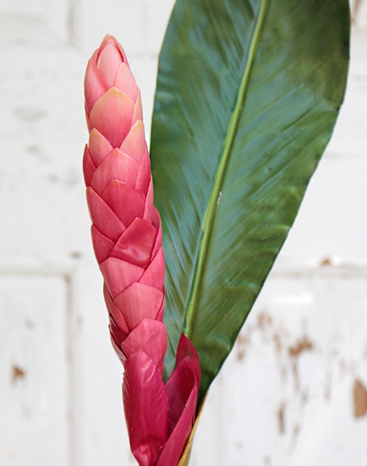 Künstliche Ingwer Blüte, 115 cm, pink