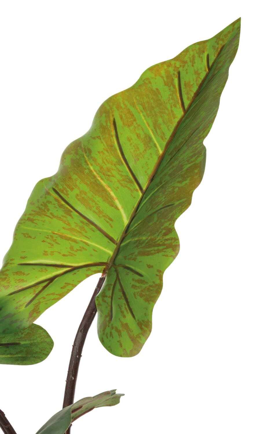 Kunst Tarobaum im Topf, 50 cm, grün
