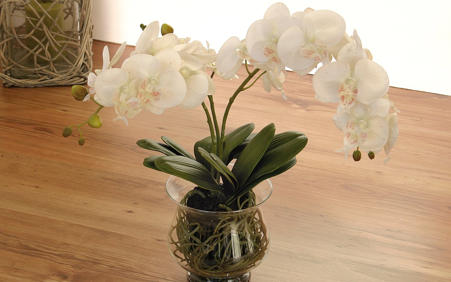 Künstliche Orchidee Phalaenopsis in Glasgefäß, 58 cm, Real Touch, creme-weiß