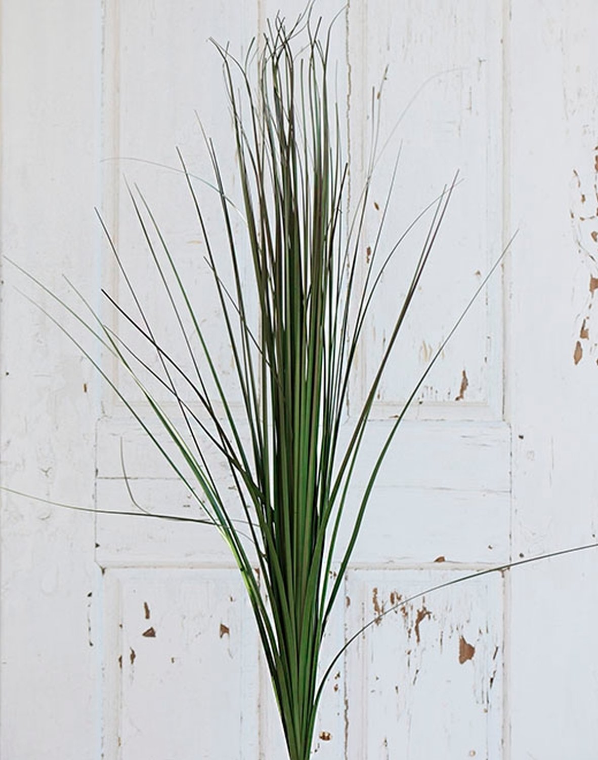 Artificial Chinese silver grass, 157 cm, olive-brown