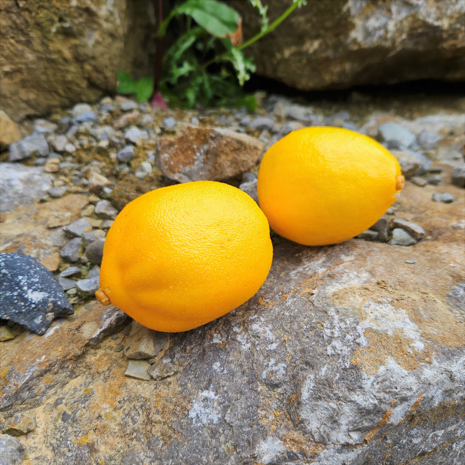 Kunststoff Zitrone, 8 cm, gelb