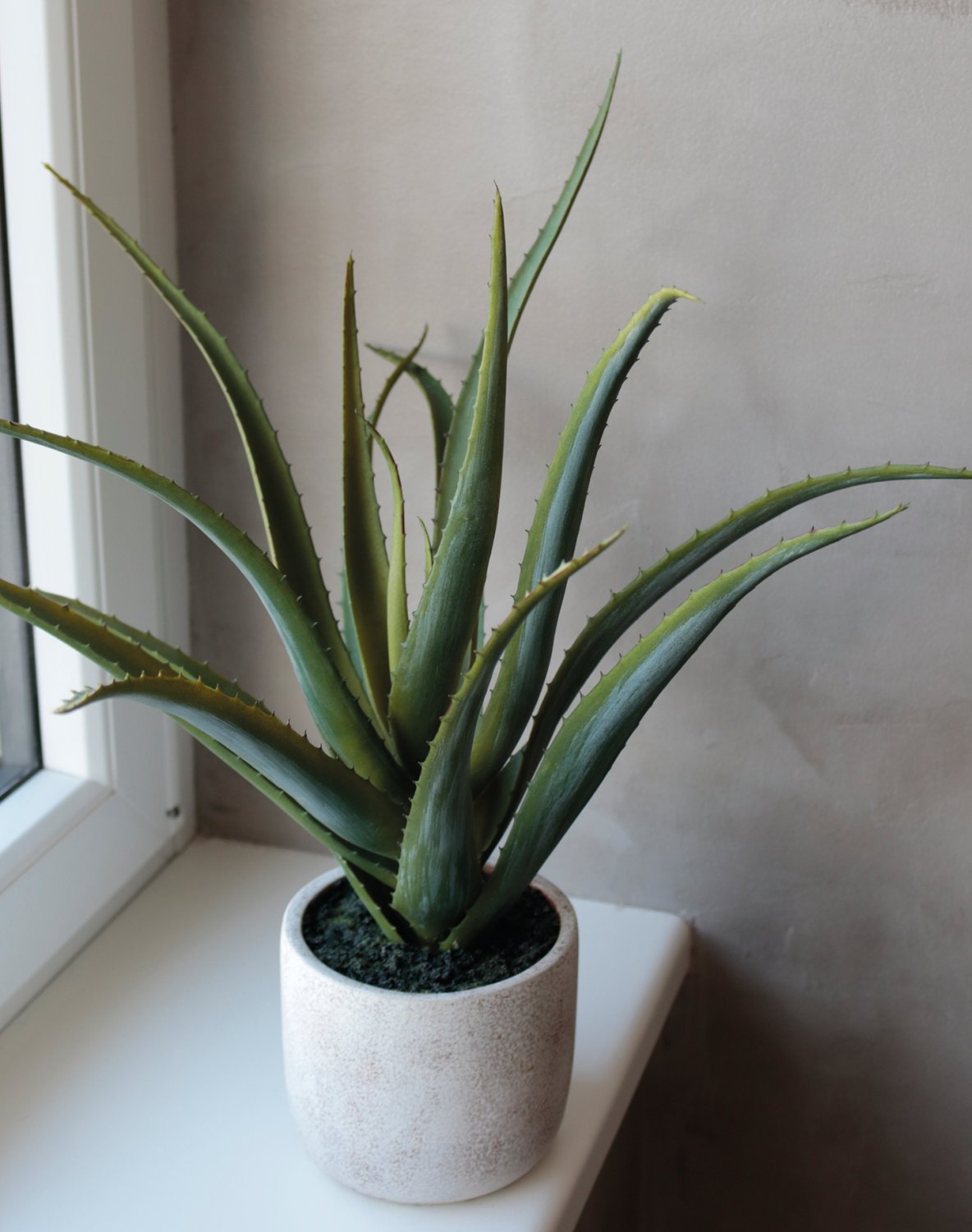 Künstliche Aloe, getopft, 43 cm, grün