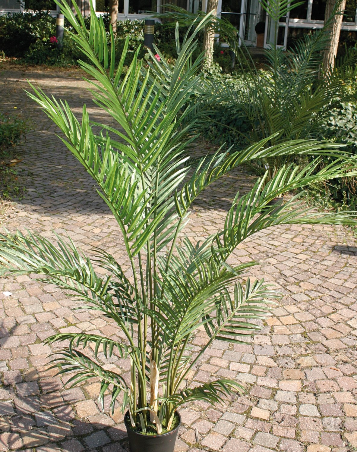 Artificial areca palm tree, potted, 150 cm, green