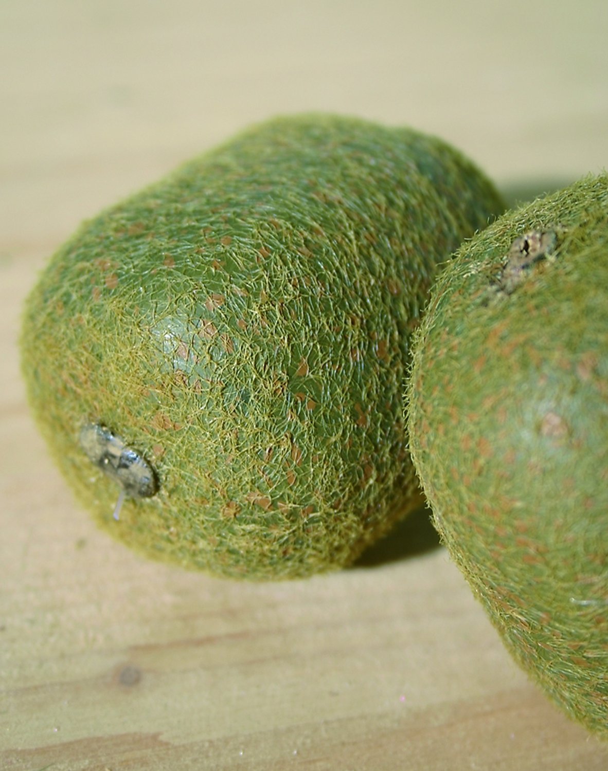 Kiwi de plástico, 7 cm, marrón Kiwi de plástico, 7 cm, marrón