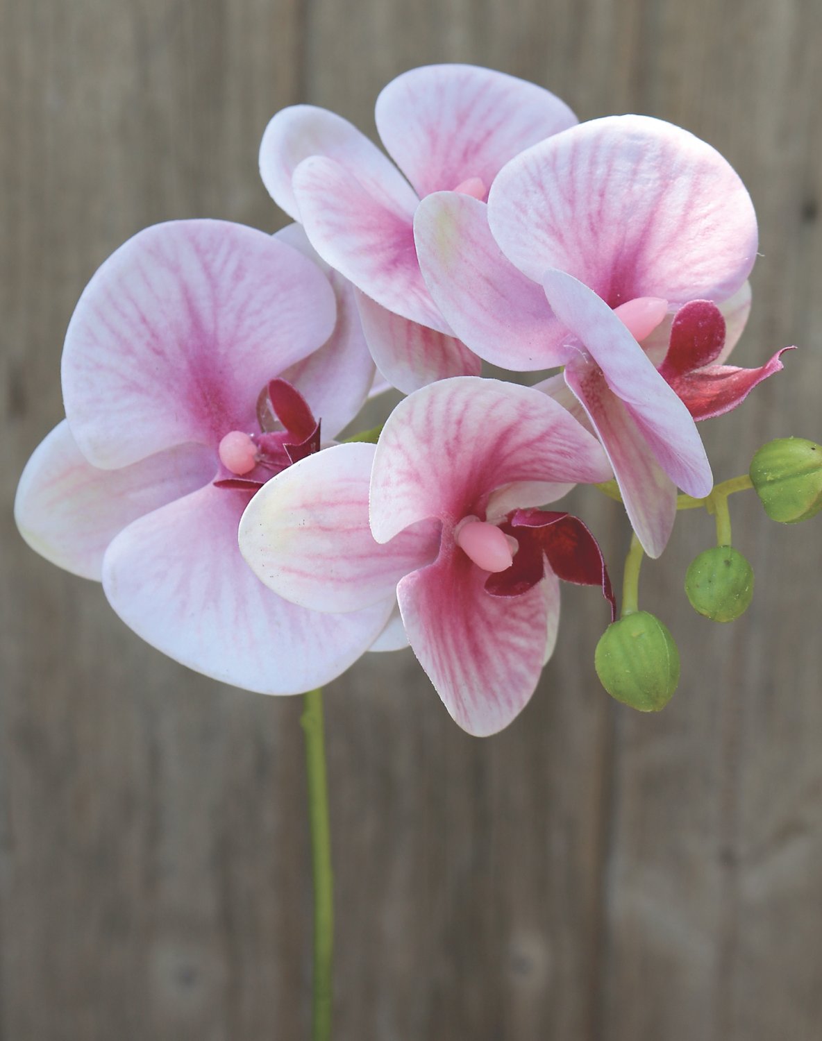 Faux orchid Phalaenopsis, 37 cm, real touch soft, rose