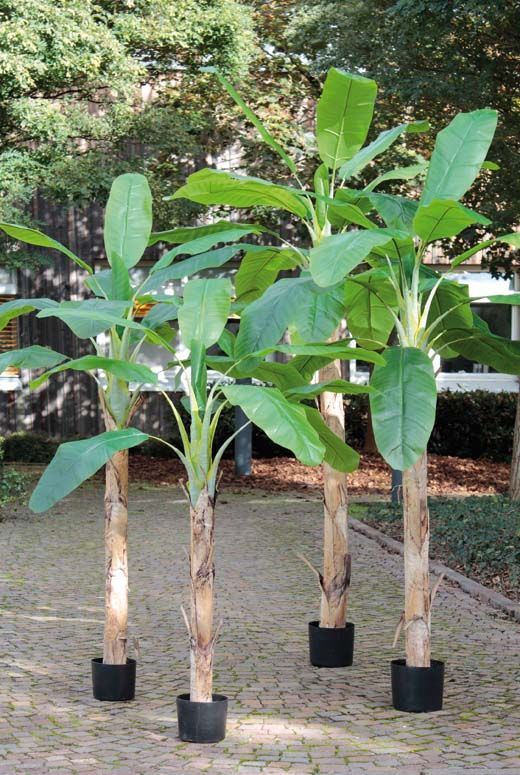 Artificial banana tree in pot, 210 cm, green