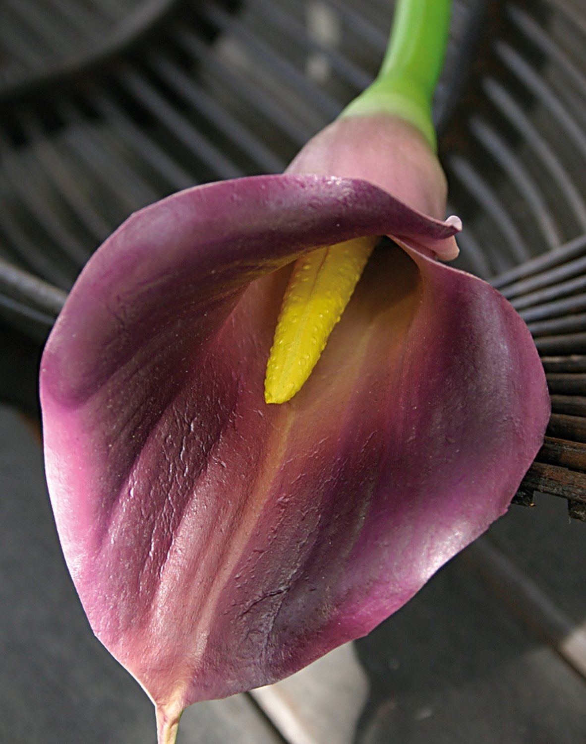 Künstliche Calla, 68 cm, Real Touch Soft, trendfarbe purple