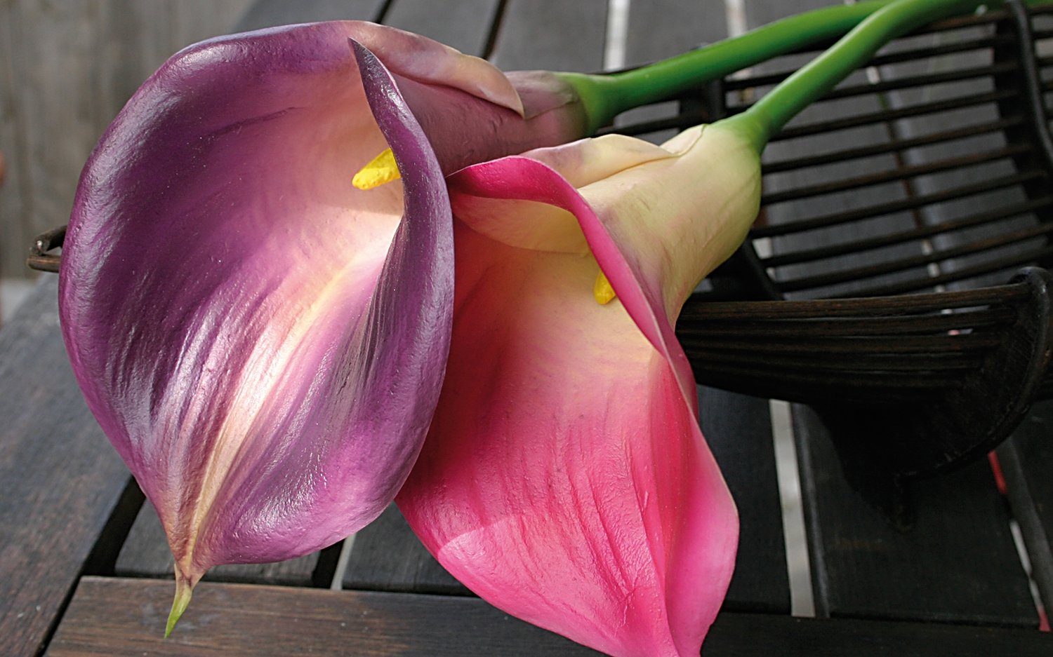 Künstliche Calla, 71 cm, Real Touch Soft, pink