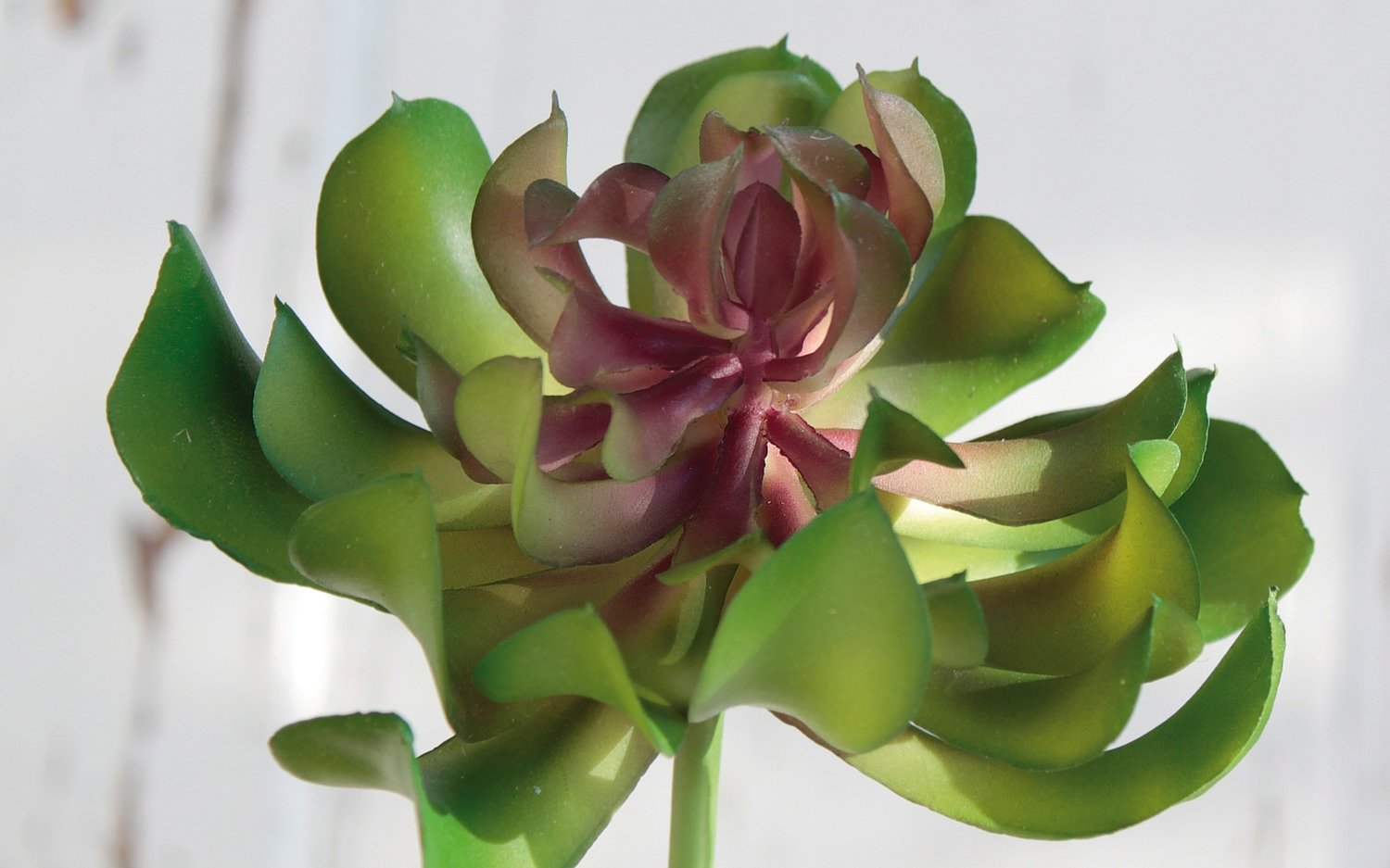 Aeonium artificiale su gambo, 13 cm, Ø 10 cm, verde