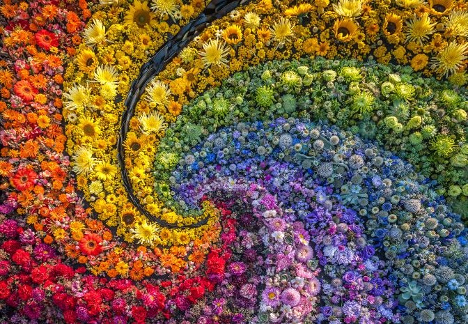 H. Andreas Kunstblumen Kuenstliche Blumen bei H.Andreas kaufen