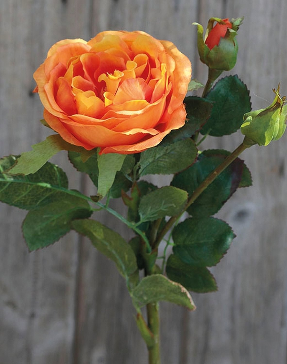 False rose, 1 flower, 2 buds, 30 cm, orange