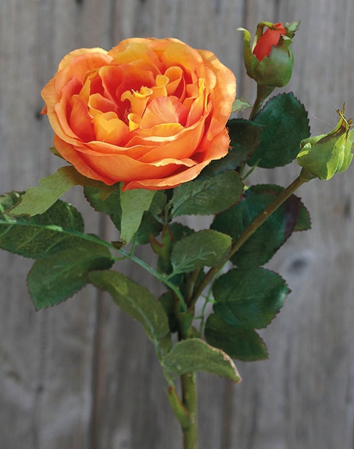 Künstliche Rose, 1 Blüten, 2 Knospen, 30 cm, orange Künstliche Rose, 1 Blüten, 2 Knospen, 30 cm, orange