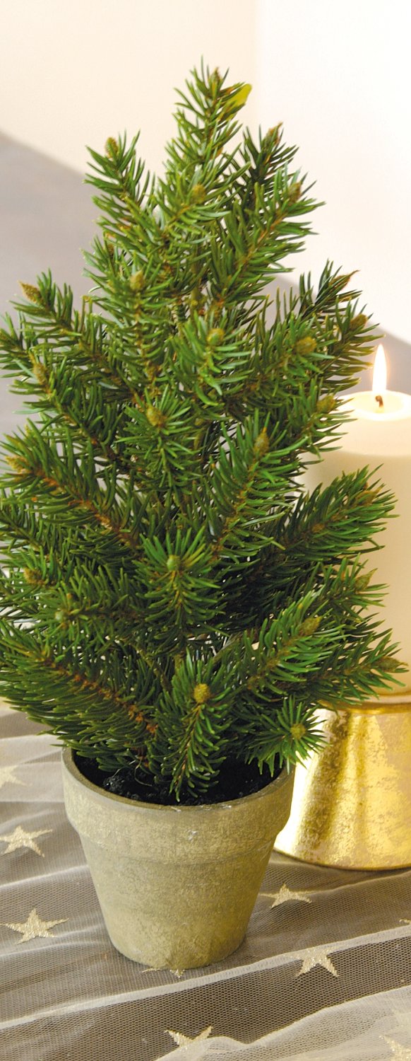 Abete Sitka artificiale, in vaso, 40 cm, verde