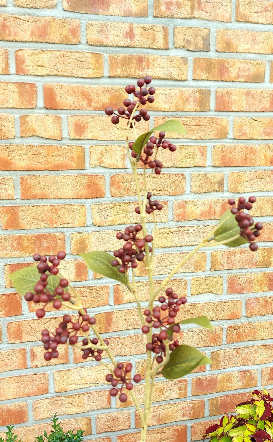 Künstlicher Beerenzweig "Vintage", 78 cm, burgunderrot Künstlicher Beerenzweig "Vintage", 78 cm, burgunderrot