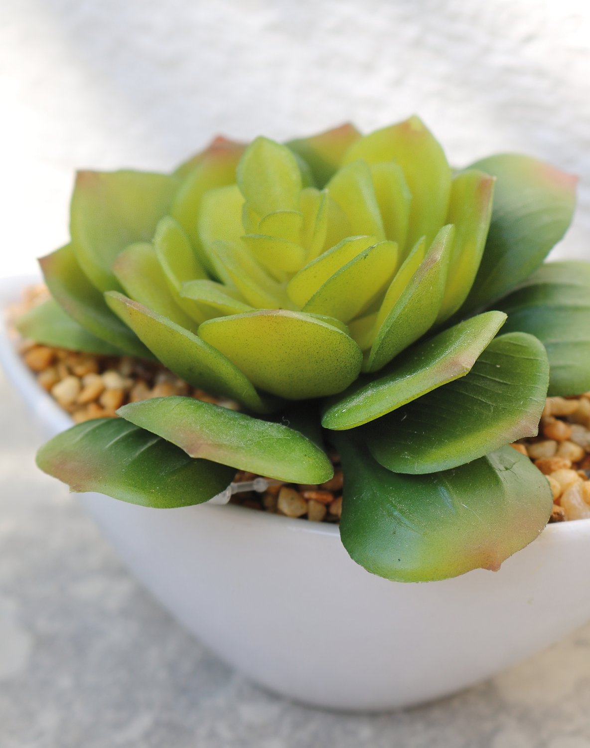 Künstliche Echeveria in Keramiktopf, 9cm, grün