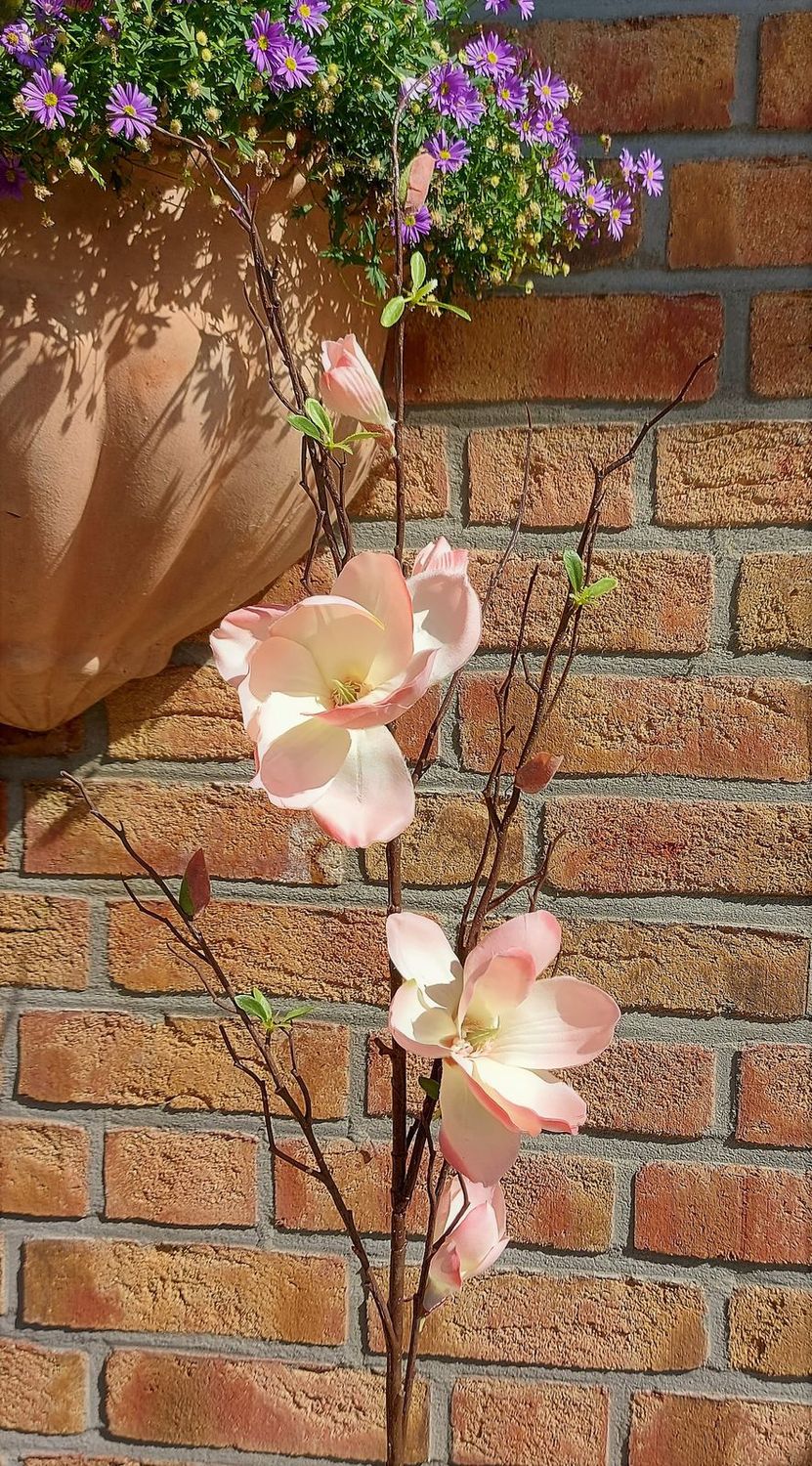 Kunstzweig mit Magnolienblüten, 115 cm, aprikose