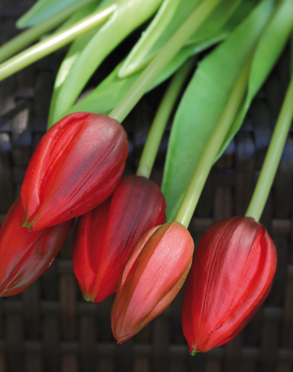 Artificial tulip bouquet, 7-fold, 44 cm, real touch, red