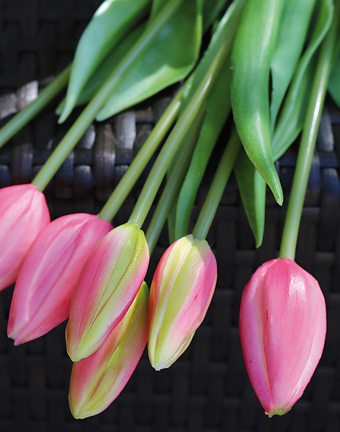 Künstlicher Tulpenbund, 7-fach, 44 cm, Real Touch, pink