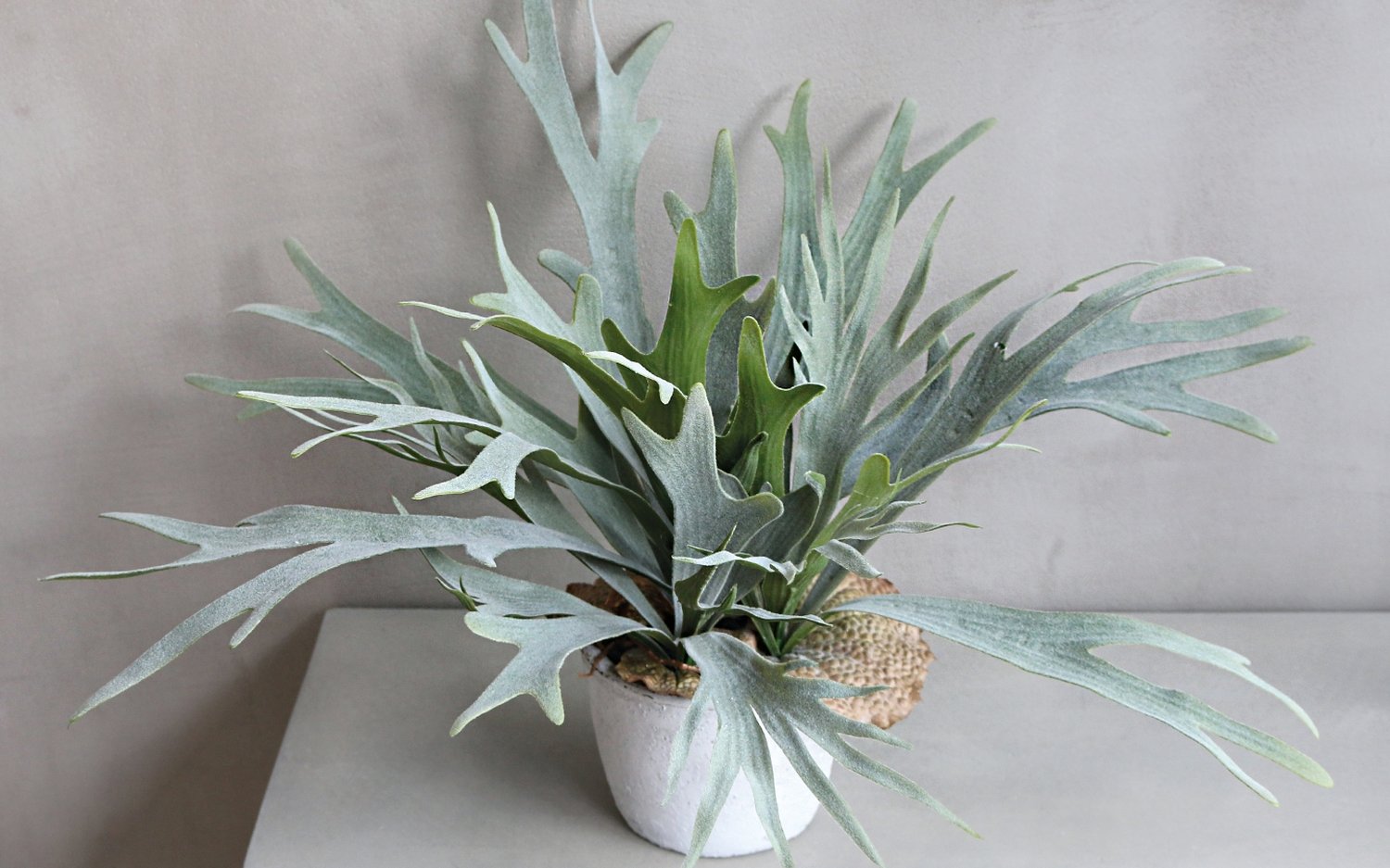 Artificial staghorn fern, potted, 50 cm, green