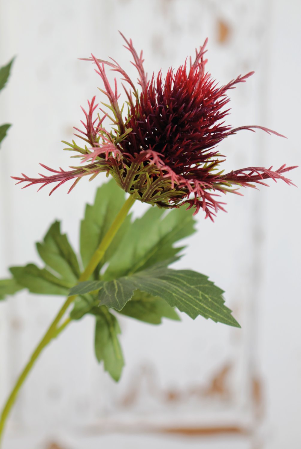 Faux thistle, 3 flowers, 67 cm, dark violet