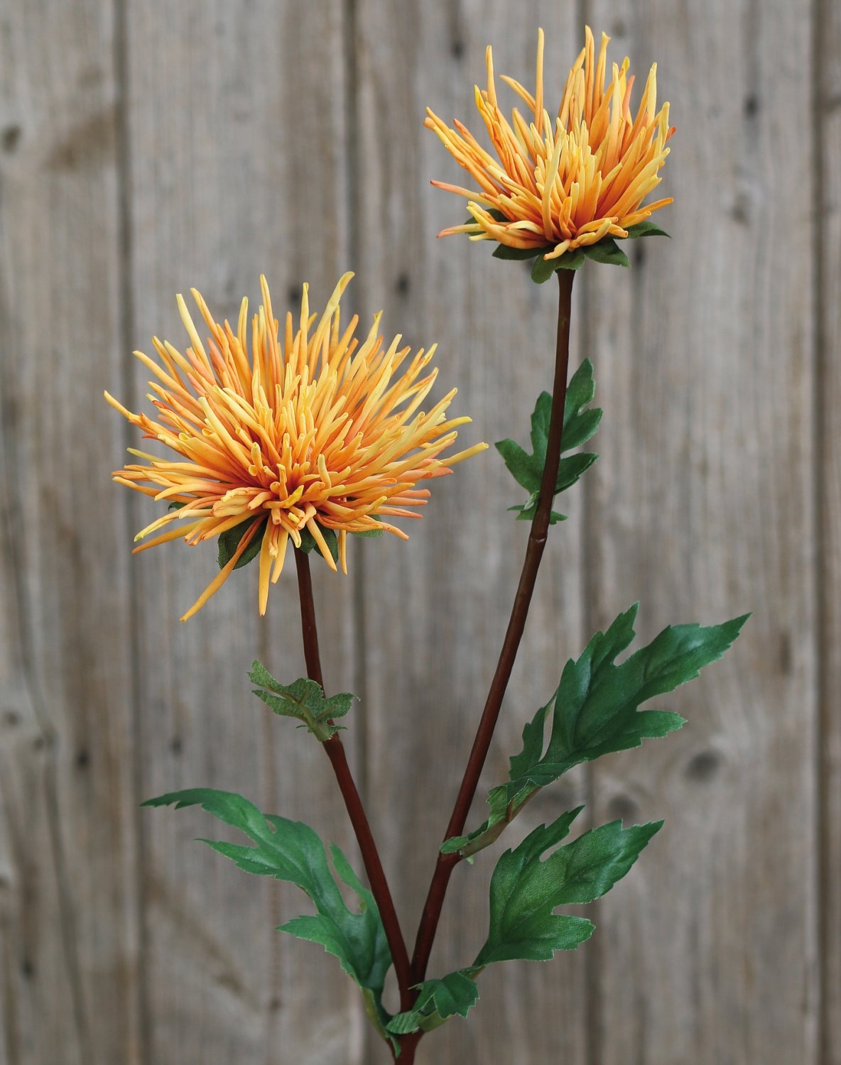 Silk Chrysanthemum, 2-flowers, 72 cm, orange