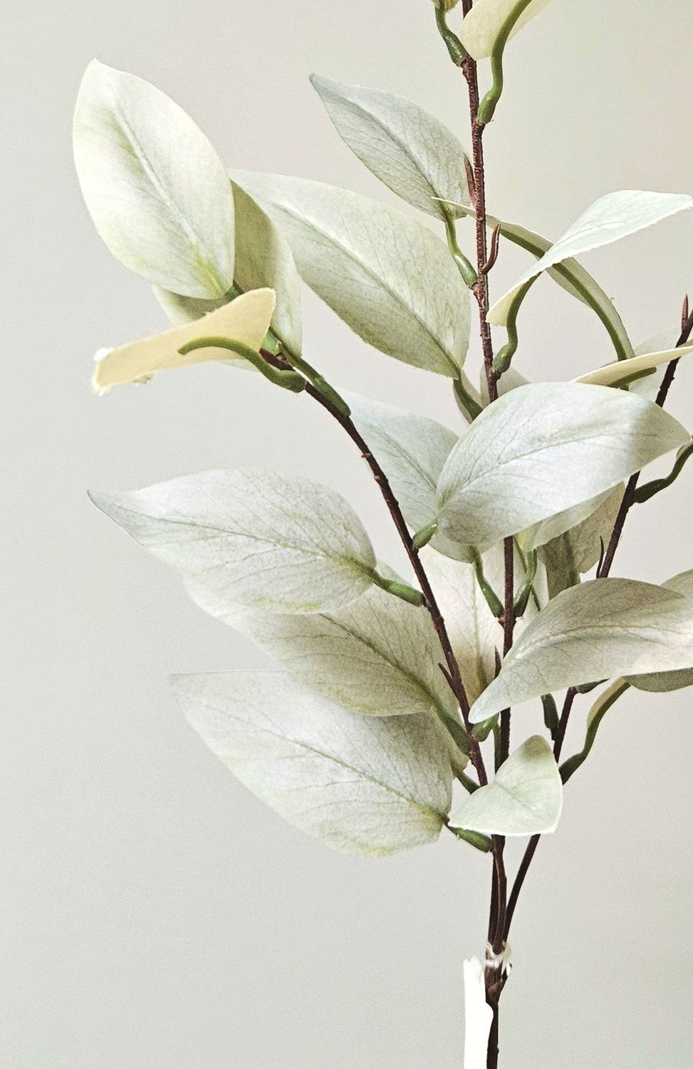 Fake Eukalyptuszweig, 94 cm, Soft Feel, grün-grau Fake Eukalyptuszweig, 94 cm, Soft Feel, grün-grau