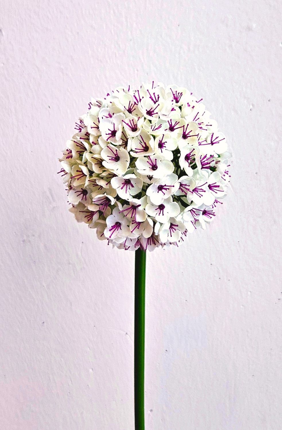 Allium artificial, 68 cm, blanco-rosa