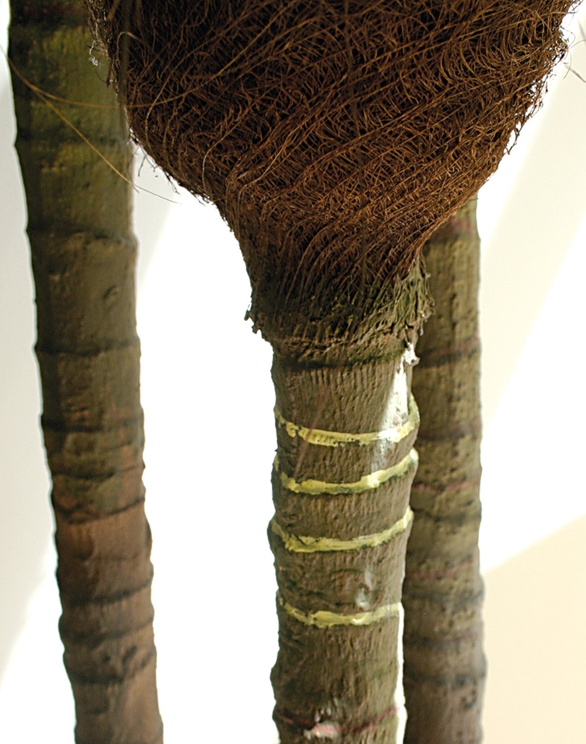 Artificial palm tree, 3-trunks, potted, 180 cm, green