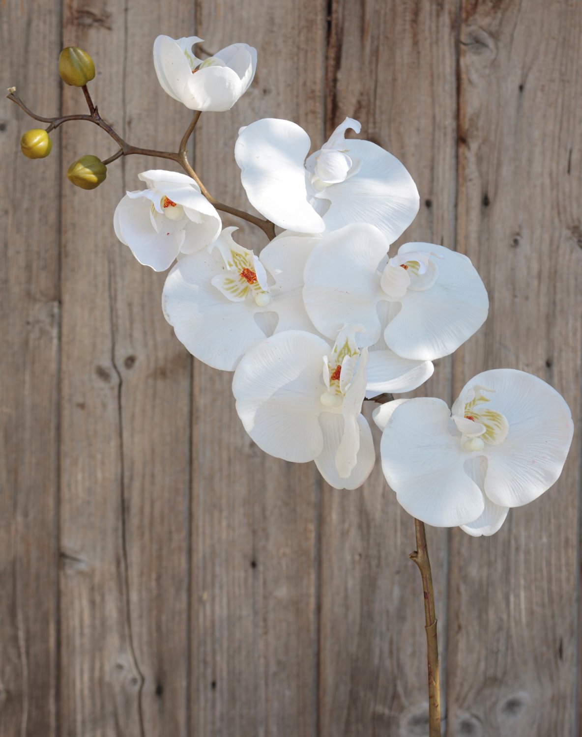 Artificial orchid Phalaenopsis, 103 cm, real touch, pure white