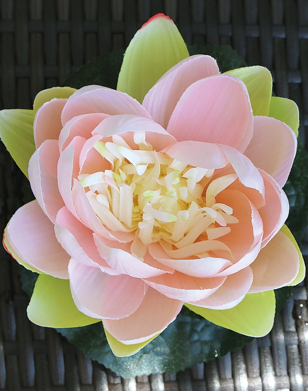 Silk water lily, floating, Ø 15 cm, light pink