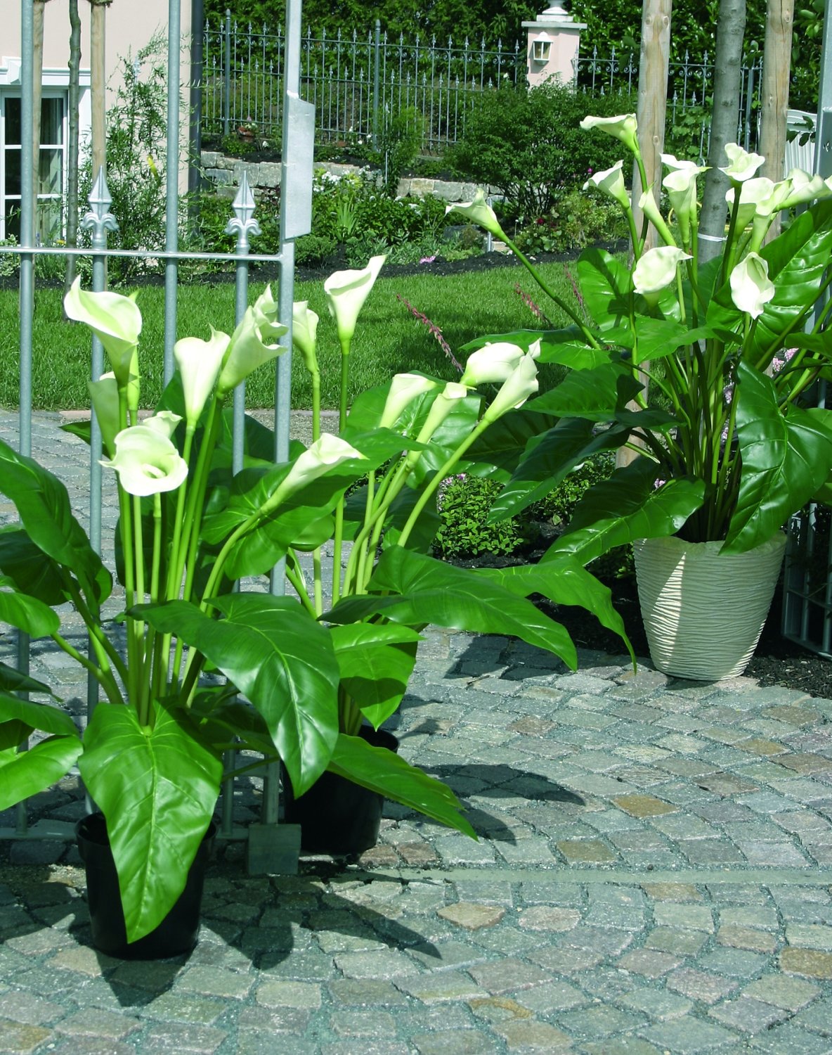 Artificial calla lilies bush, potted, 130 cm, green