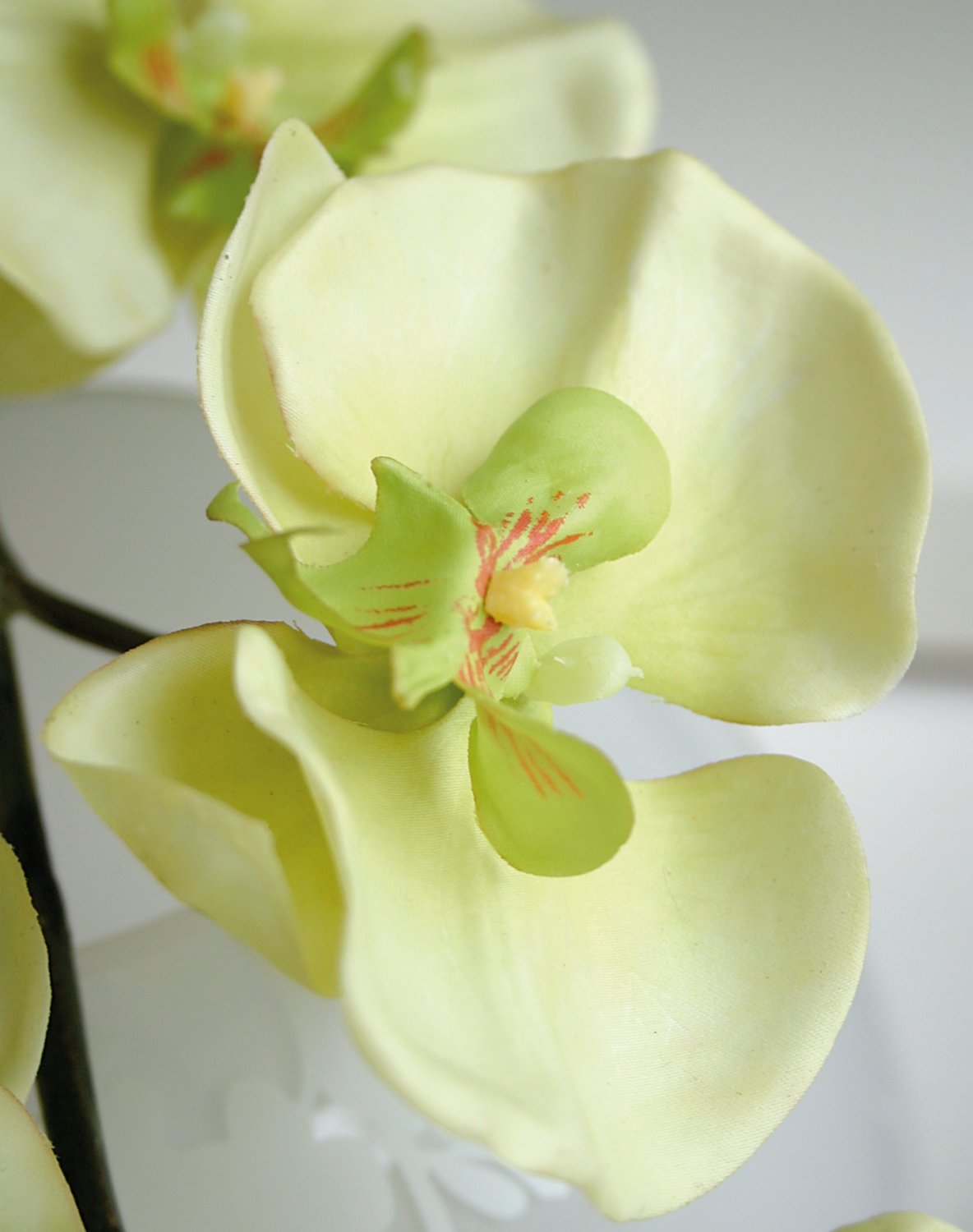 Künstliche Orchidee Phalaenopsis, 110 cm, Real Touch, creme-grün