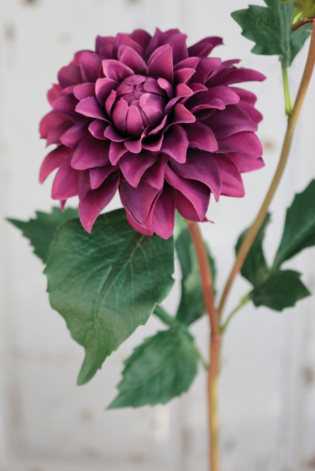 Künstliche Dahlie, 56 cm, trendy purple