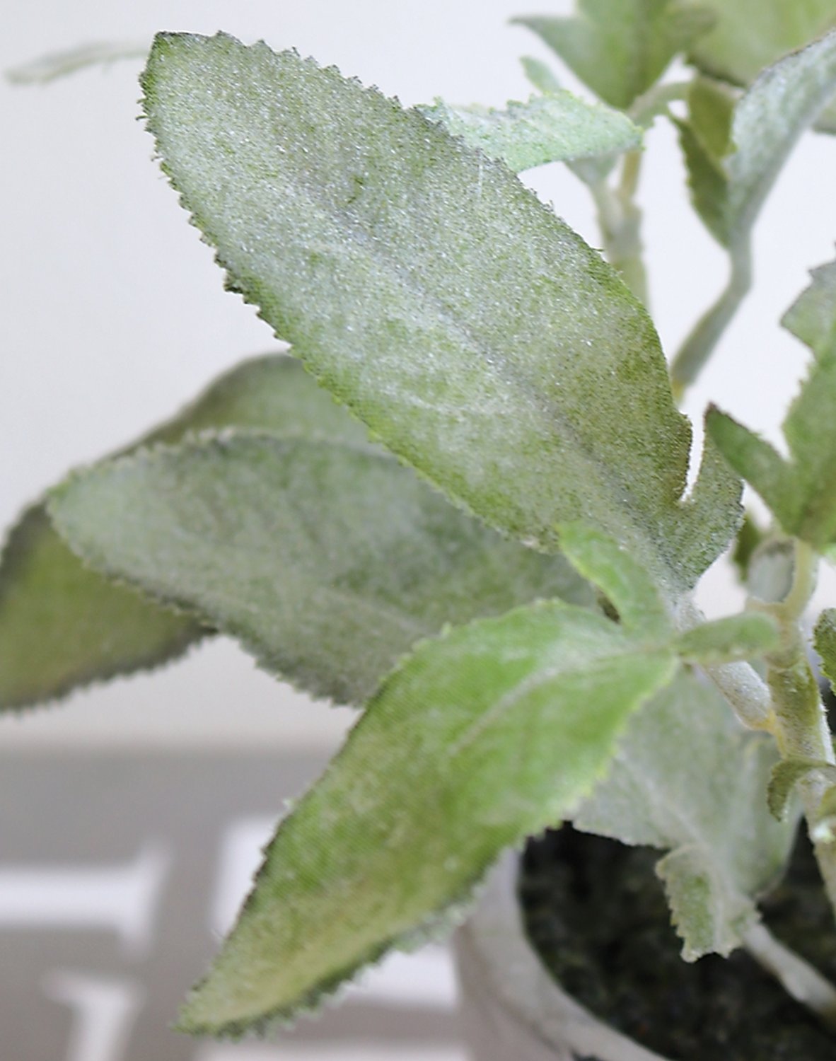 Artificial sage, potted, 17 cm, green