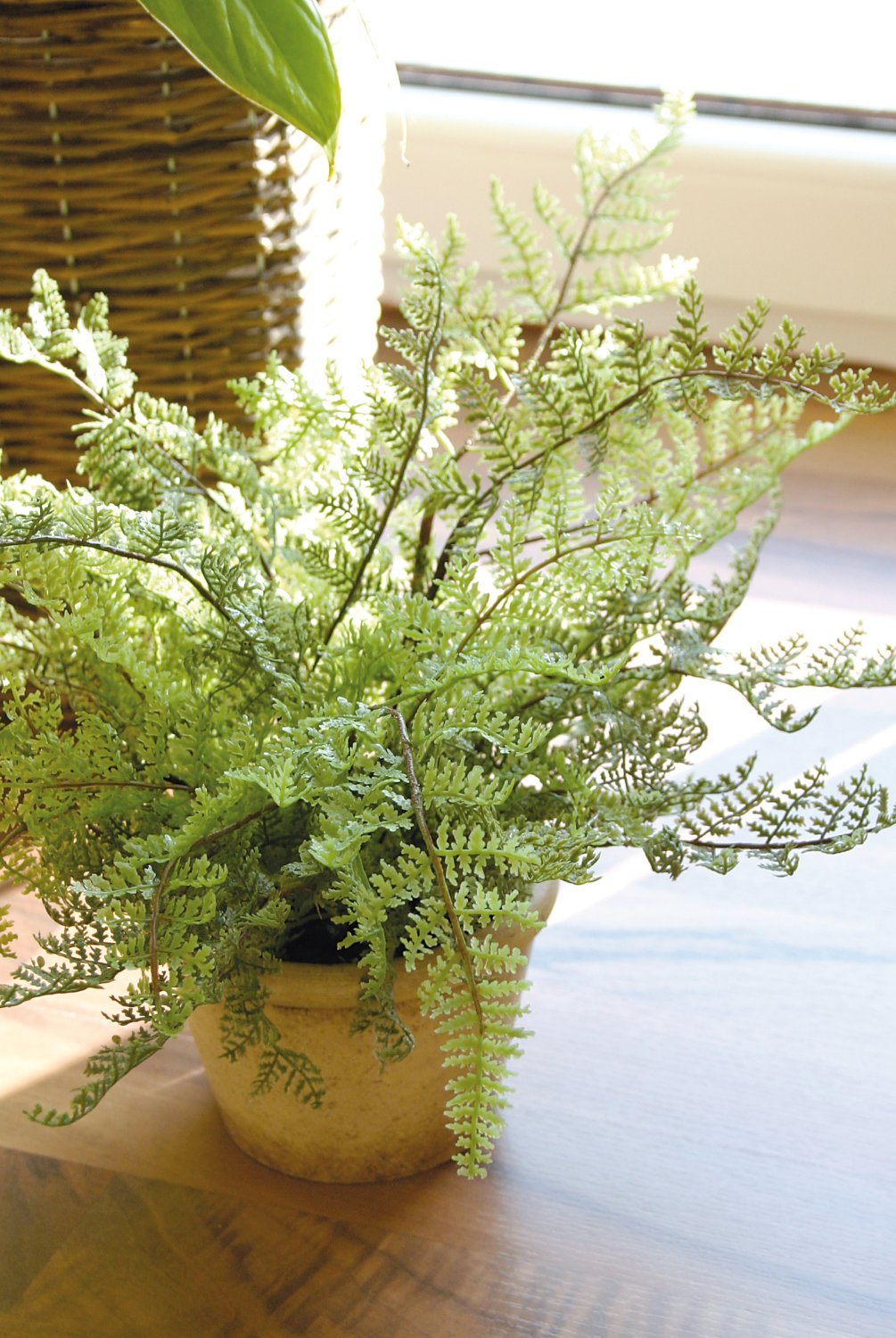 Artificial fern, potted, 20 cm, green