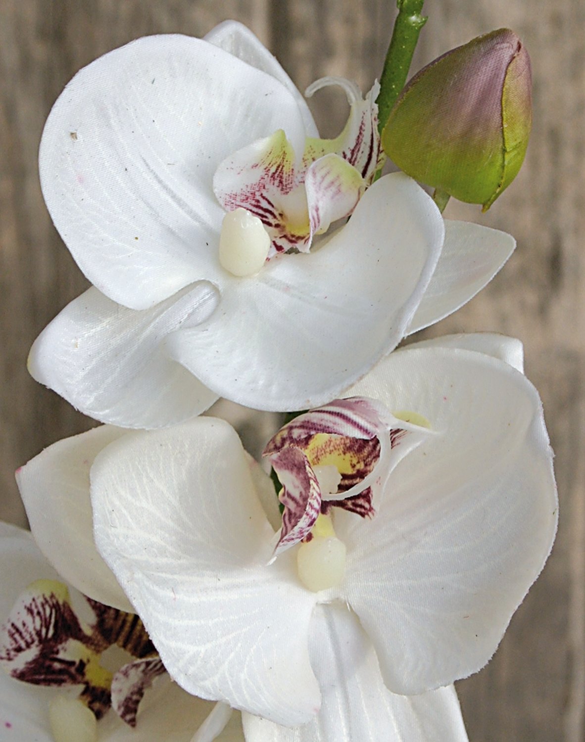 Künstliche Orchidee Phalaenopsis, 92 cm, Real Touch, creme-weiß