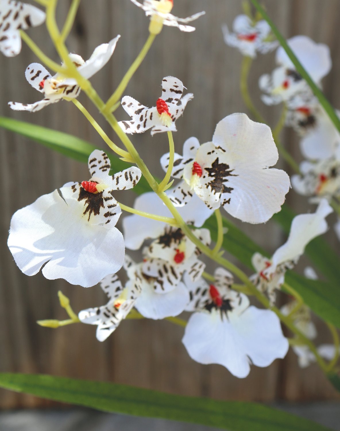 Synthetic orchid oncidium, potted, 50 cm, beige-white