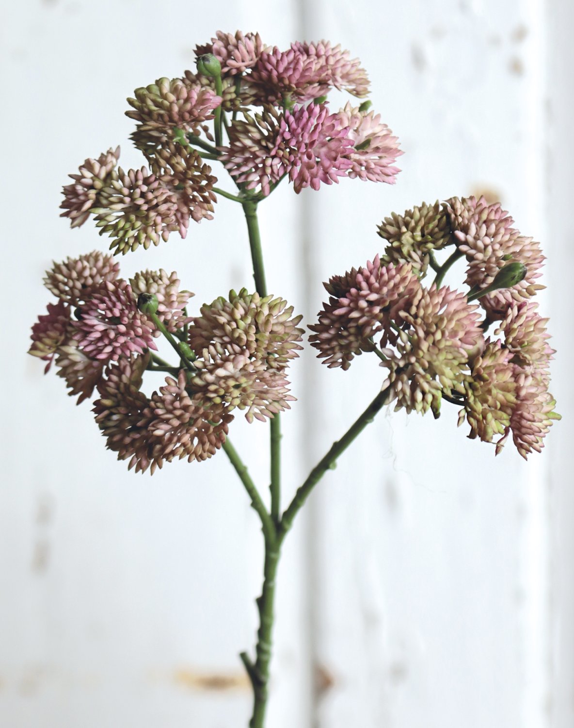 Artificial sedum branch, 32 cm, pink-green