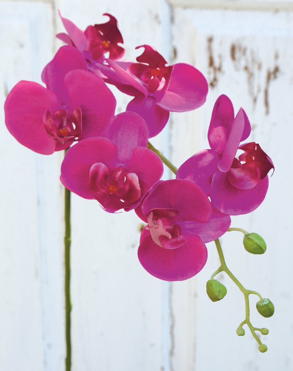Faux orchid Phalaenopsis, 80 cm, real touch soft, cerise