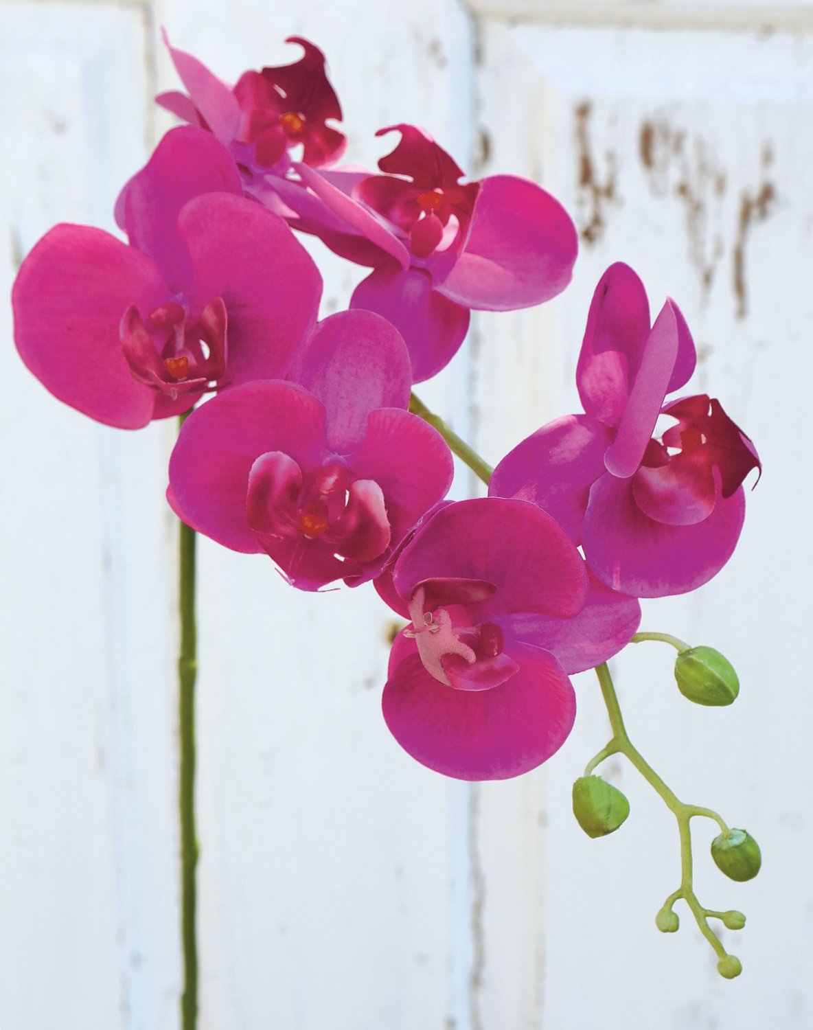 Künstliche Orchidee Phalaenopsis, 80 cm, Real Touch Soft, cerise