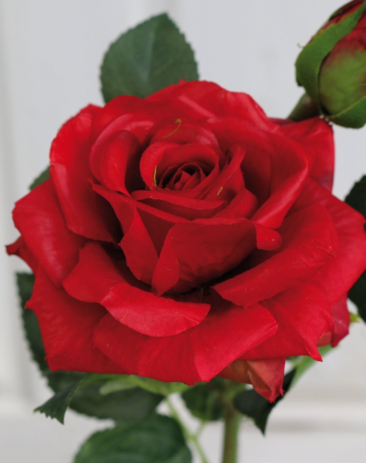 Silk rose, 1 flower, 1 bud, 37 cm, real touch soft, red