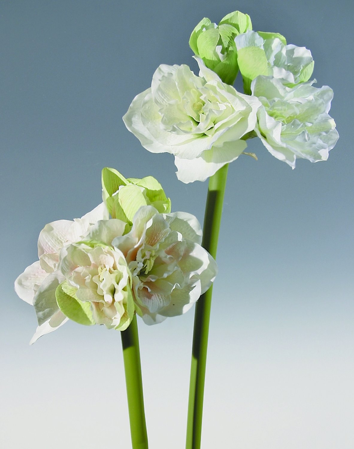 Künstliche Amaryllis, 4-fach, 80 cm, weiß-grün