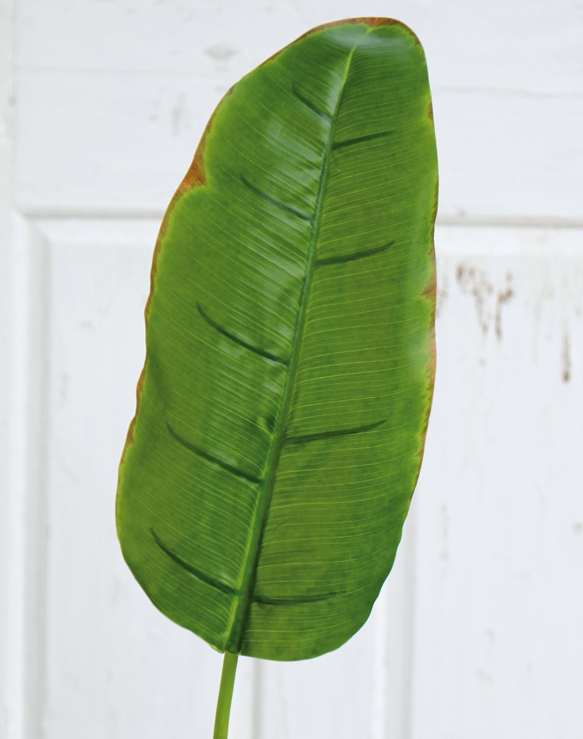 Artificial banana leaf, 96 cm ( leaf 38 cm), green