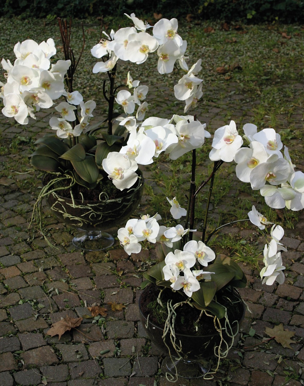 Künstliche Orchidee Phalaenopsis in Glasschale, 8-fach, 81 cm, weiß